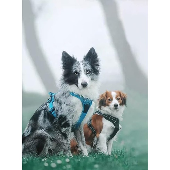 TRUE LOVE Adjustable Reflective No-Pull Harness - Small Dogs, Safety and Control - Picture 1 of 7
